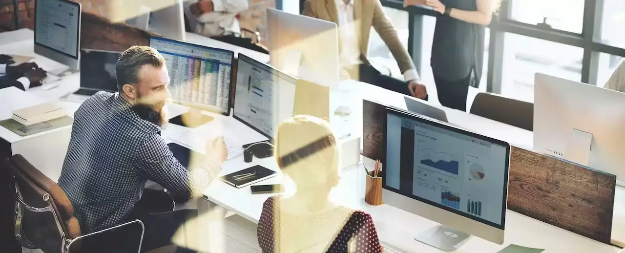 Equipo de Okapii creando software a medida