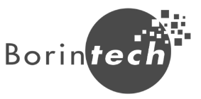 Logo of Borintech